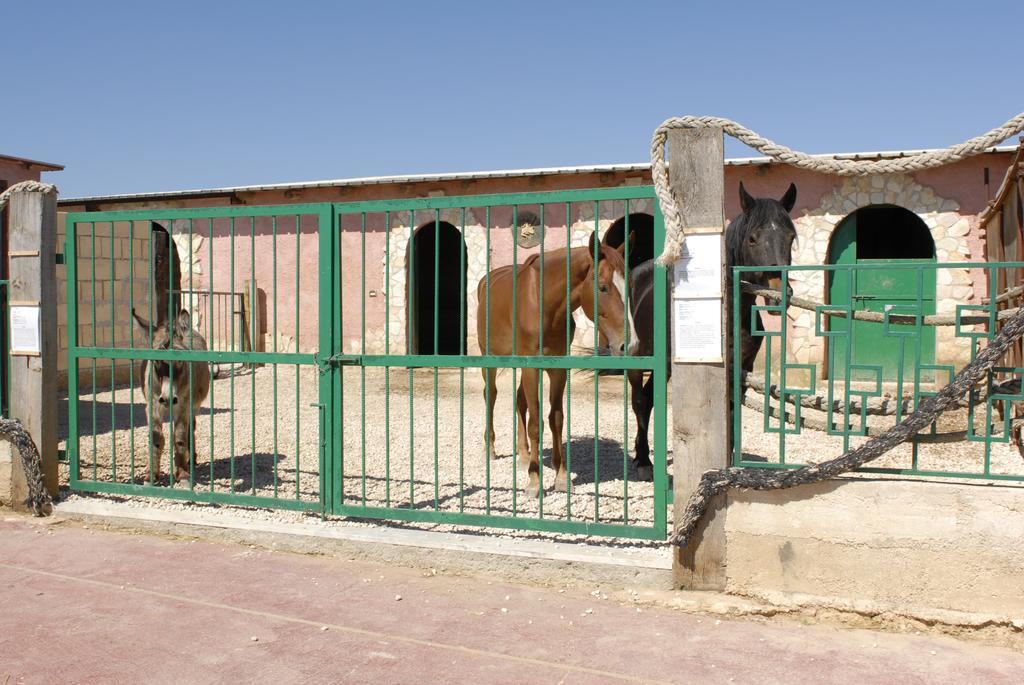 Agriturismo Duca Di San Martino Villa Partanna Dış mekan fotoğraf