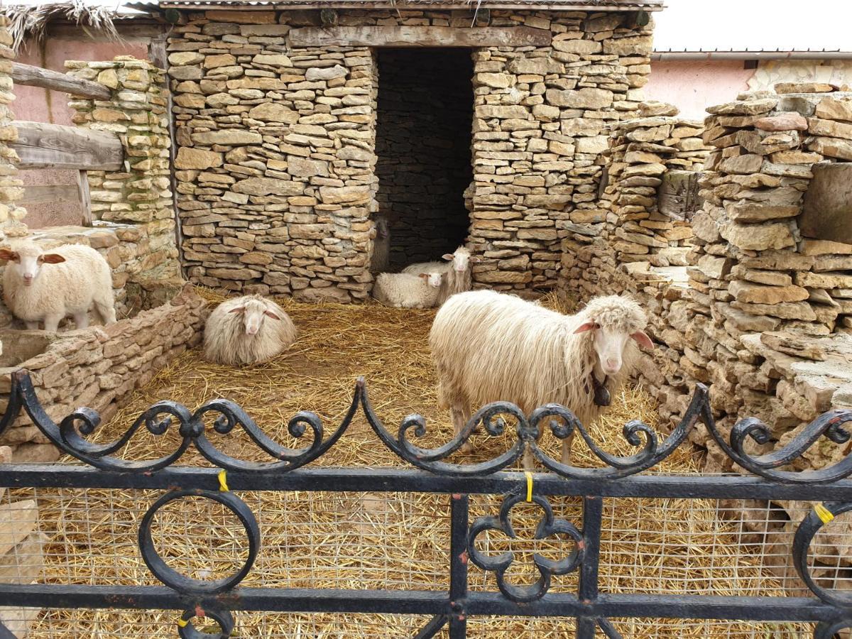 Agriturismo Duca Di San Martino Villa Partanna Dış mekan fotoğraf