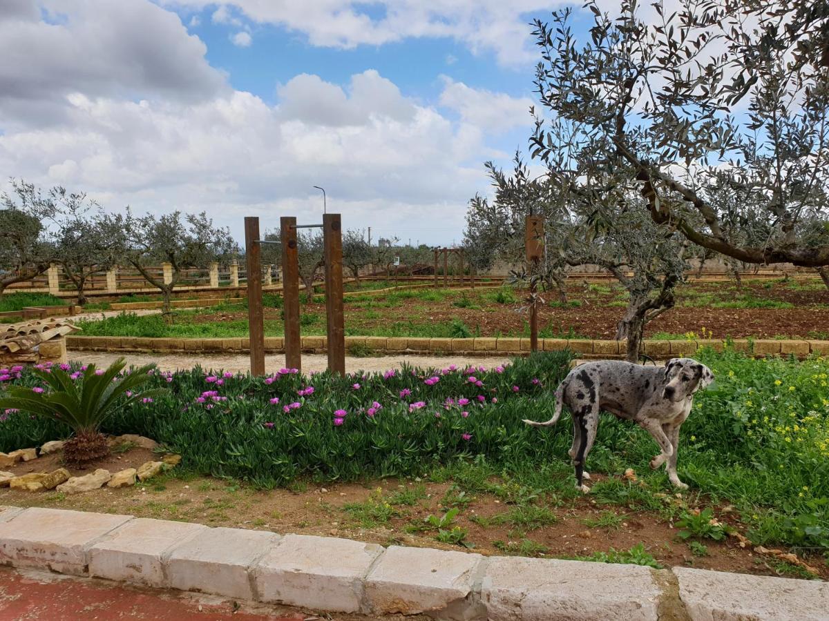 Agriturismo Duca Di San Martino Villa Partanna Dış mekan fotoğraf