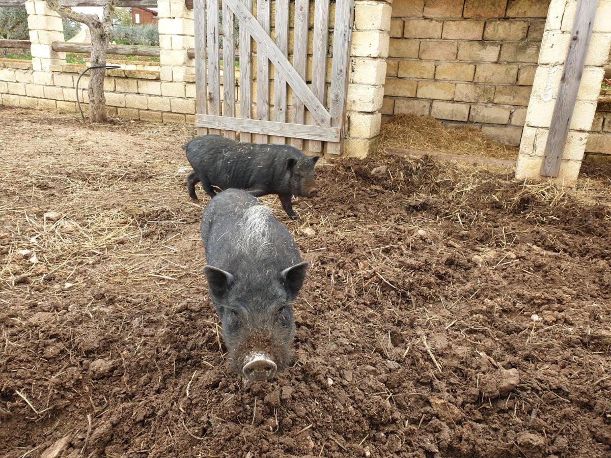 Agriturismo Duca Di San Martino Villa Partanna Dış mekan fotoğraf