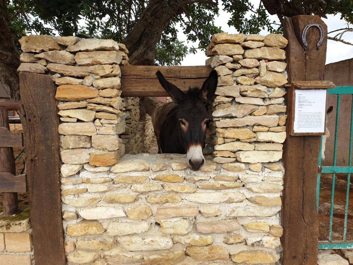 Agriturismo Duca Di San Martino Villa Partanna Dış mekan fotoğraf